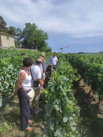 Discover the excellence of Saint-Émilion's grands crus with U'wine at Château Bellevue.